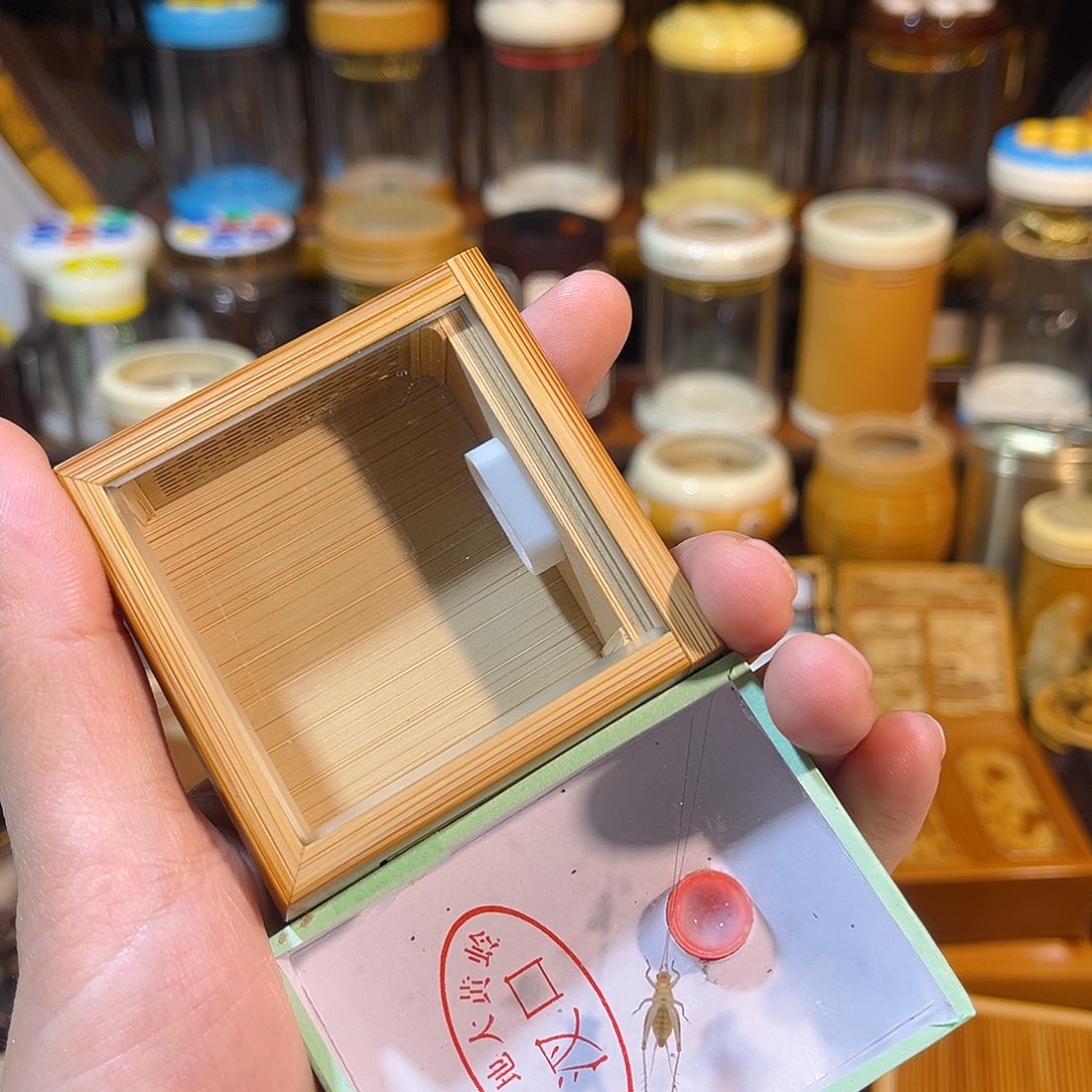 蟋蟀老竹盒+大黄蛉