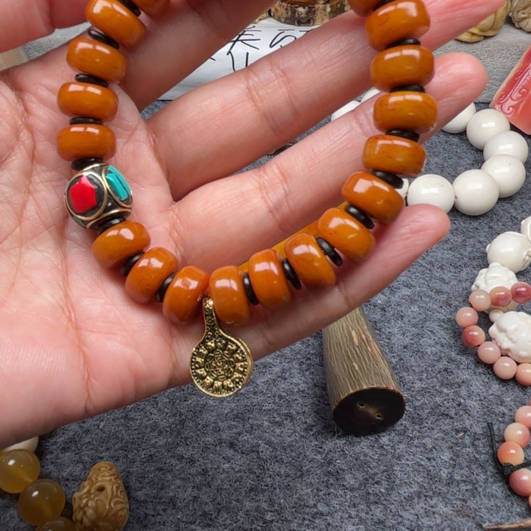 鹿骨其他人工养殖驼骨50