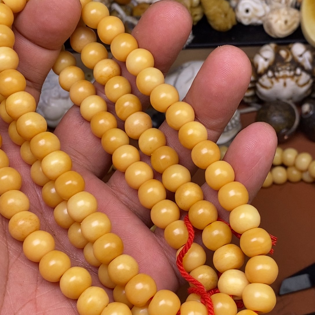 其他驼骨人工样子