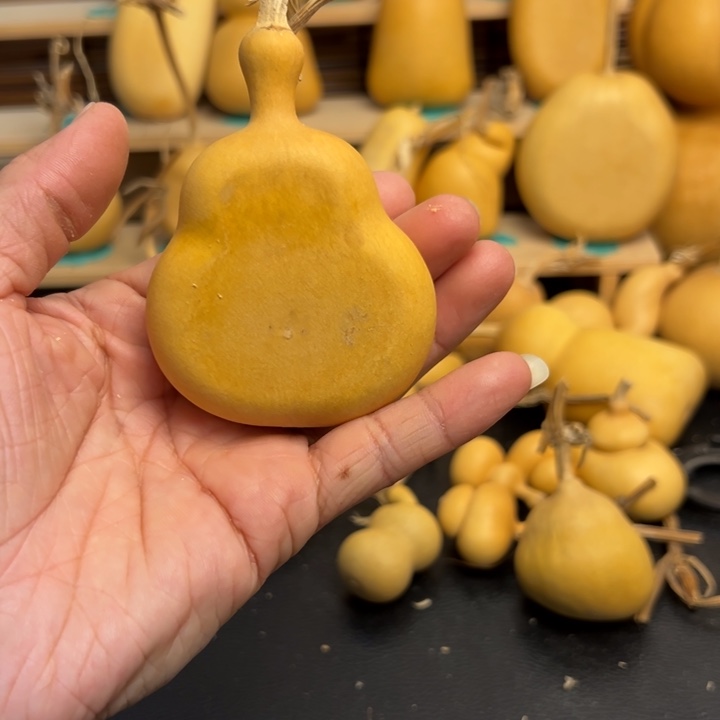 小*悦咕噜噜的叫呼噜呼噜呼噜的