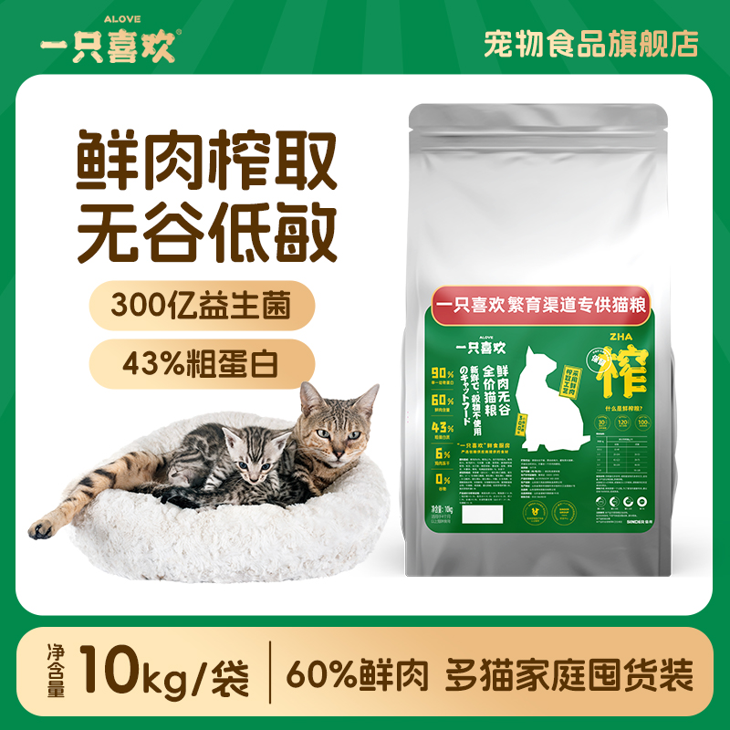 一只喜欢全价繁育粮鲜肉无谷添加鸡肉粒冻干营养均衡易消化猫主粮