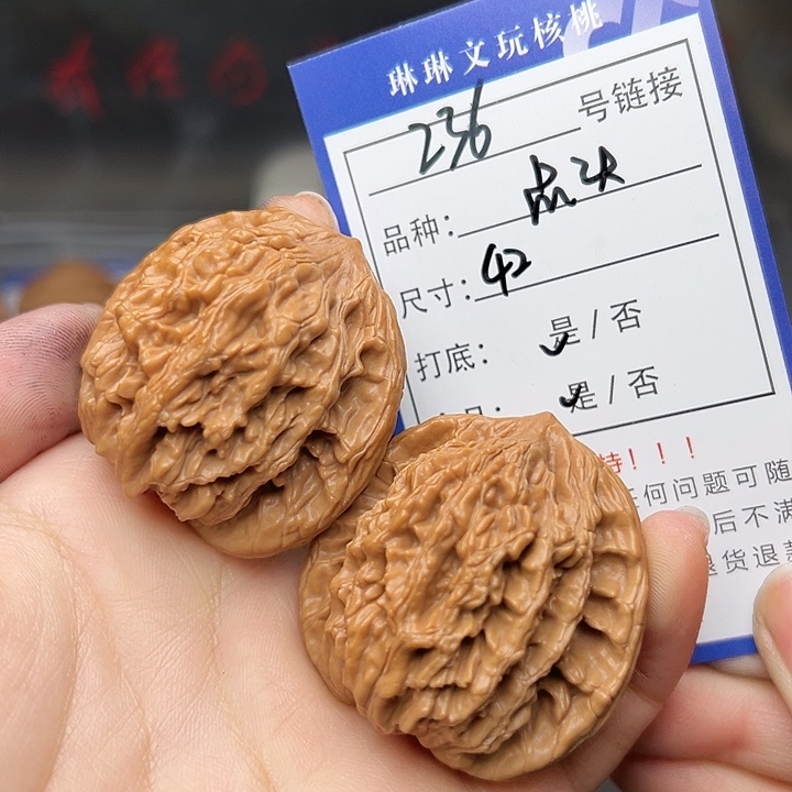 文玩核桃吊坠核桃树236