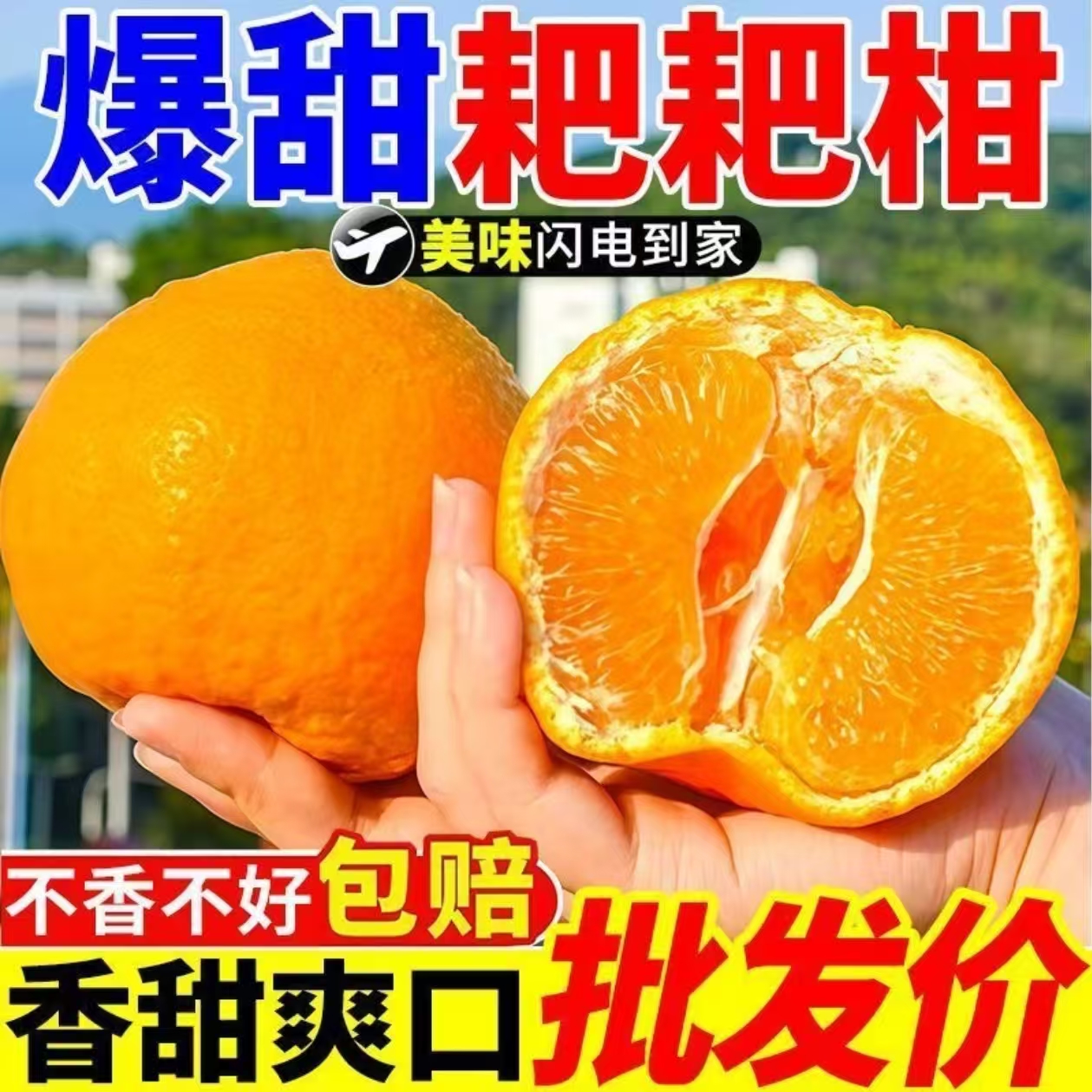 [供销助农]正宗四川春见耙耙柑当季新鲜水果丑橘子柑橘