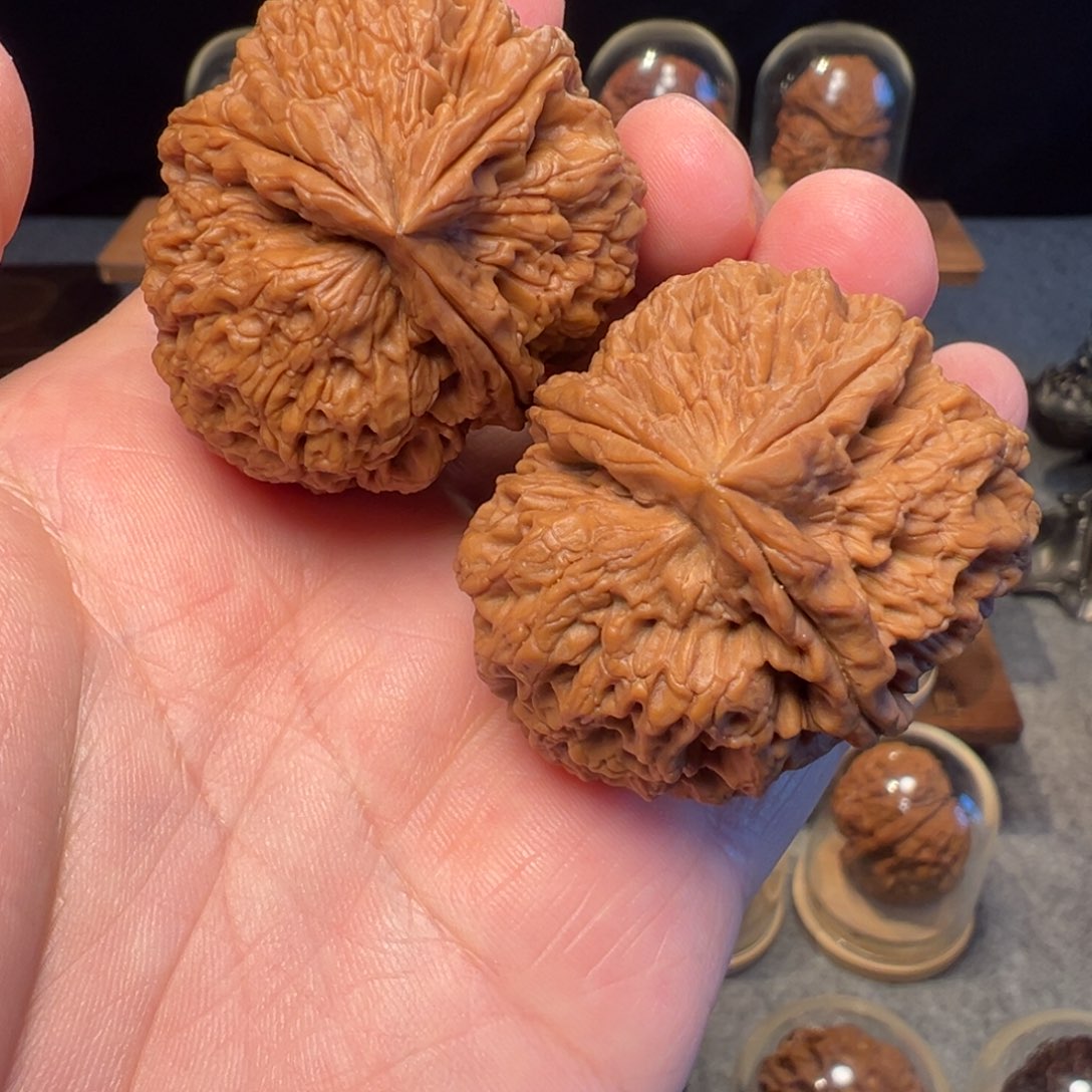 文玩核桃把件霹雳锤三棱44mm