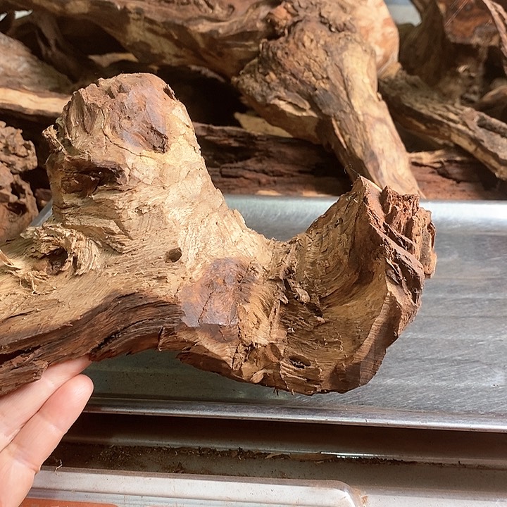 花梨木类自*湾海南黄油梨