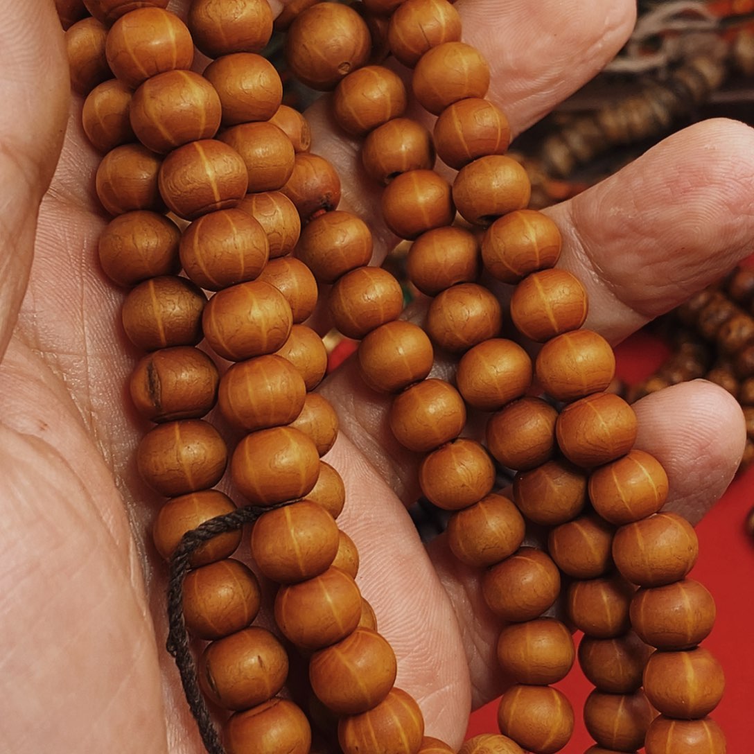 啊啊啊啊啊啊啊啊啊啊啊啊