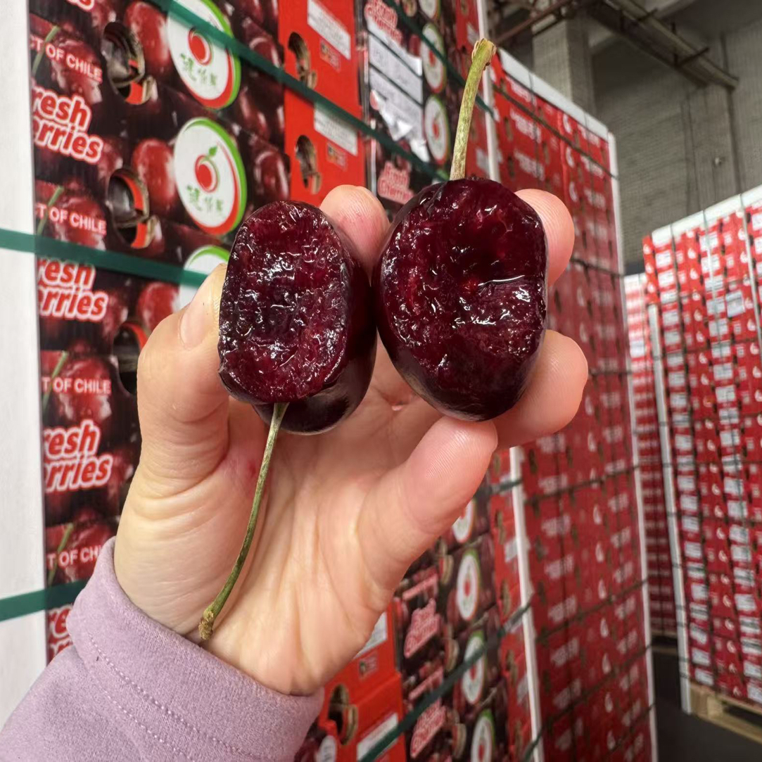 单J加黑加大海运车厘子（5斤）桑提娜智利