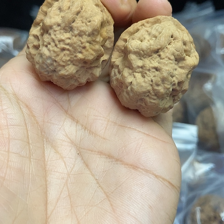 木质类云南铁核桃基地41