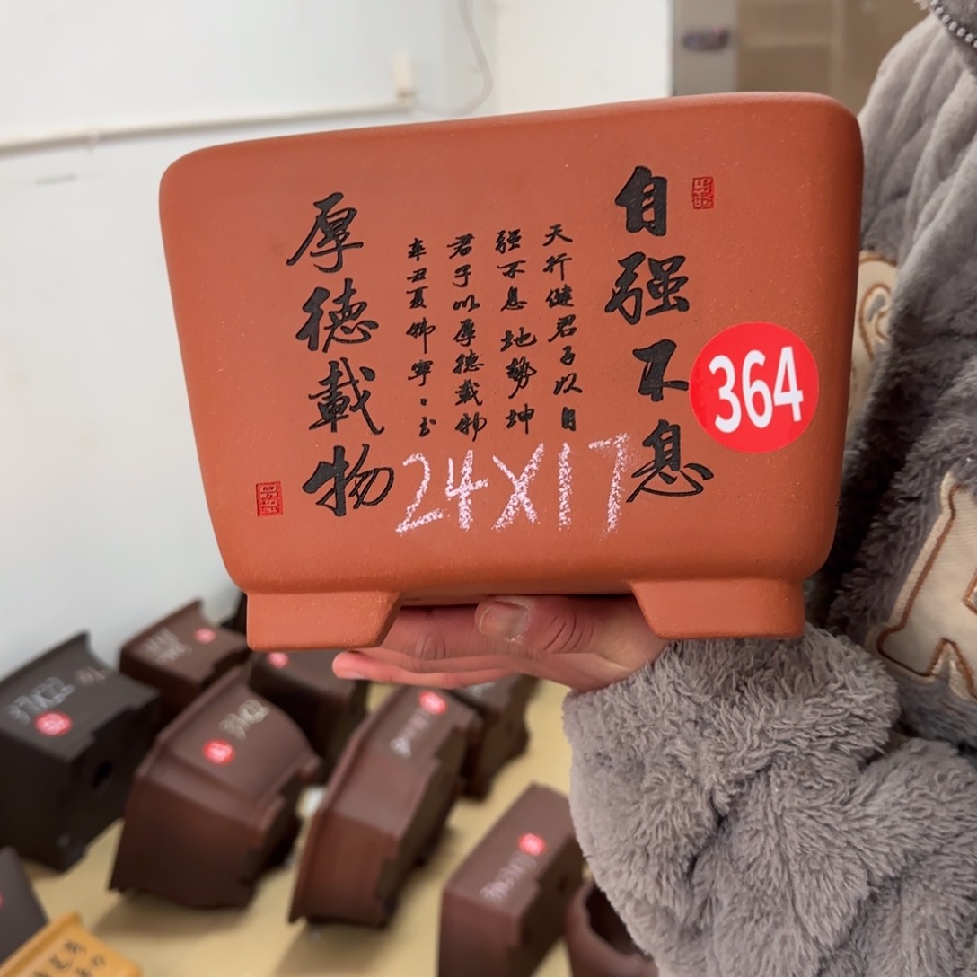 紫砂花盆呜呜呜呜