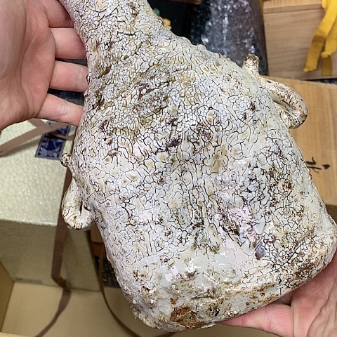 紫砂哈哈哈哈哈哈哈哈哈