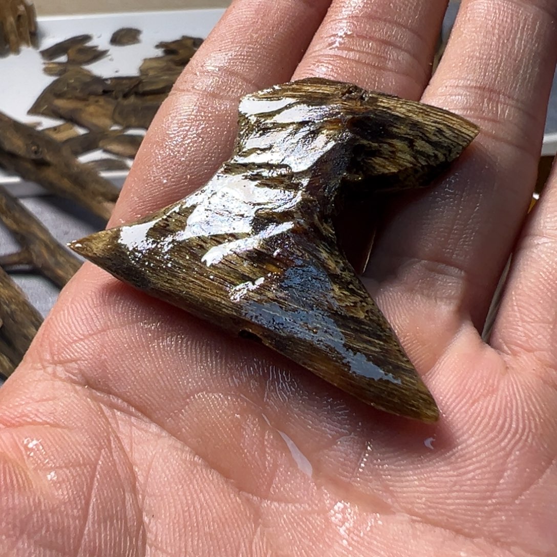 沉香碎屑沉香小陆河4克沉水