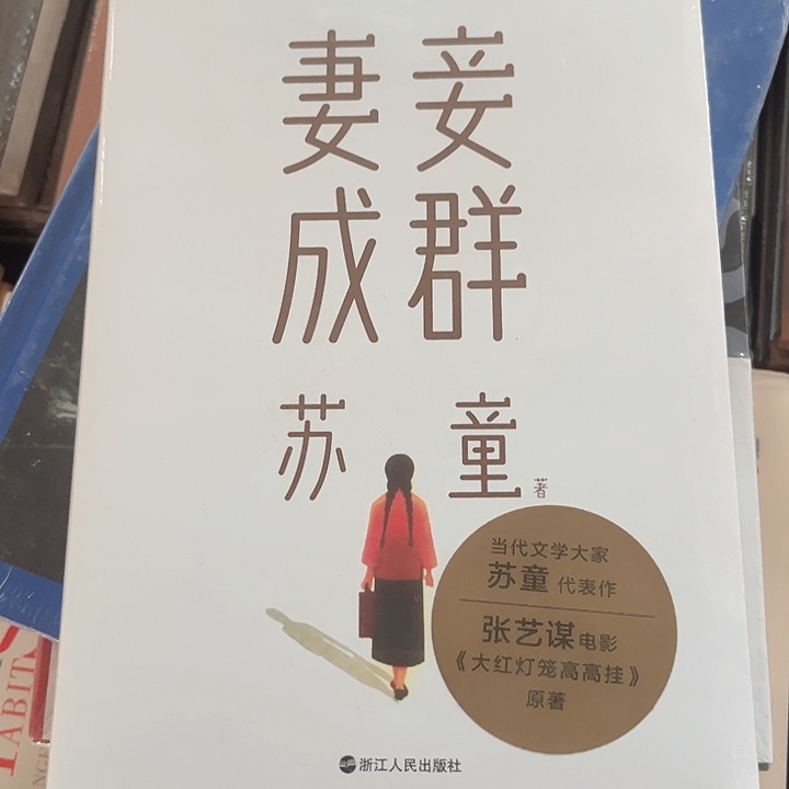 妻妾成群新书推荐