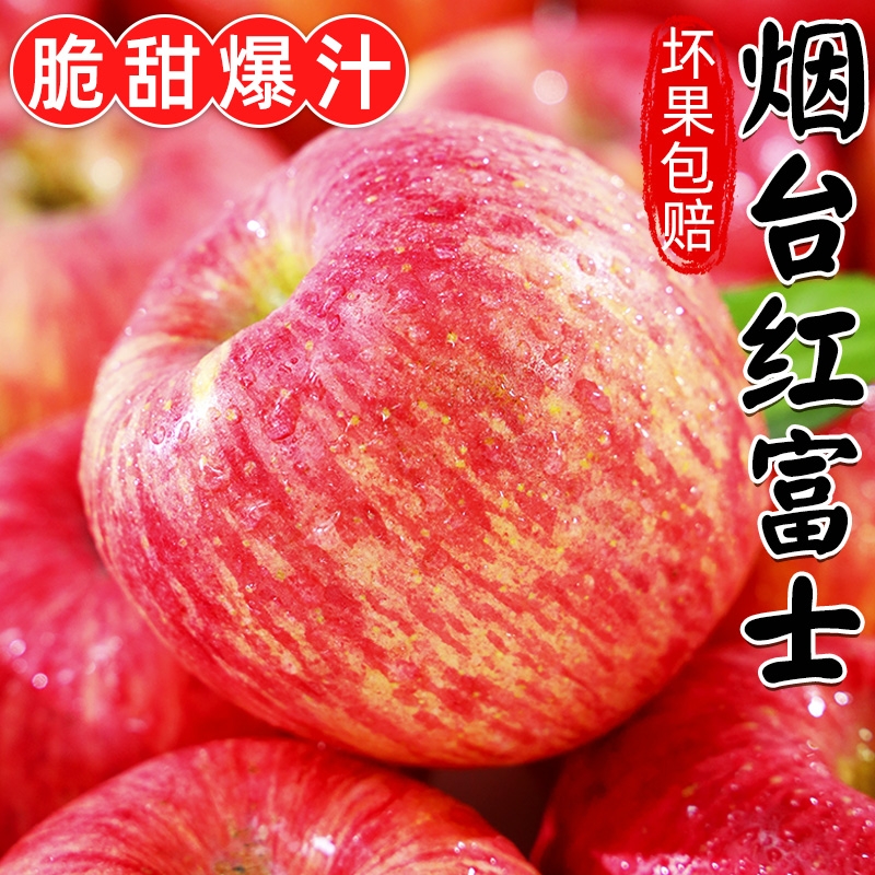 【坏果包赔】山东烟台红富士苹果时令新鲜水果脆甜整箱