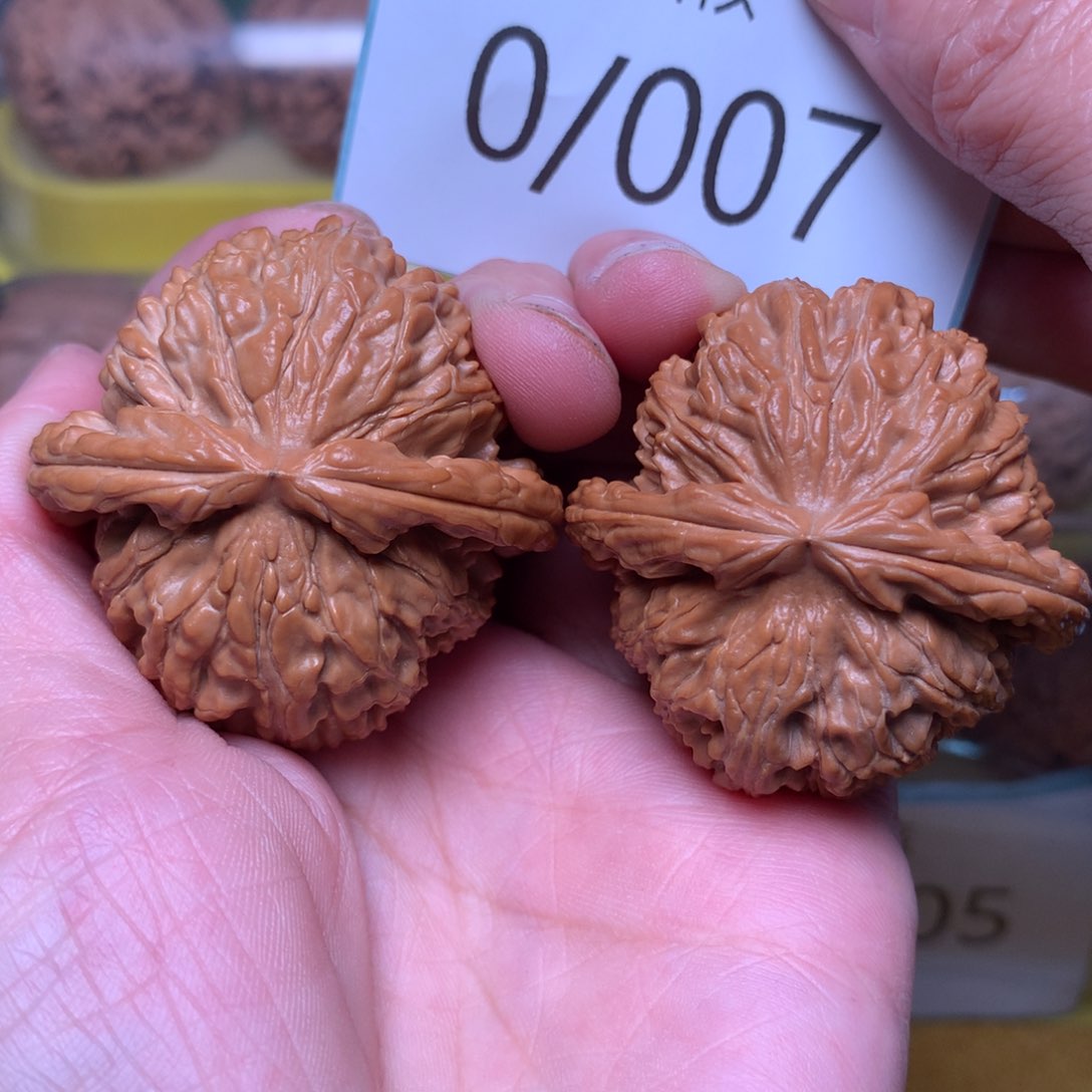 文玩核桃把件红皮球白43