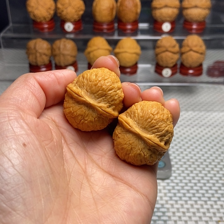 文玩核桃把件8龟甲元宝蟾