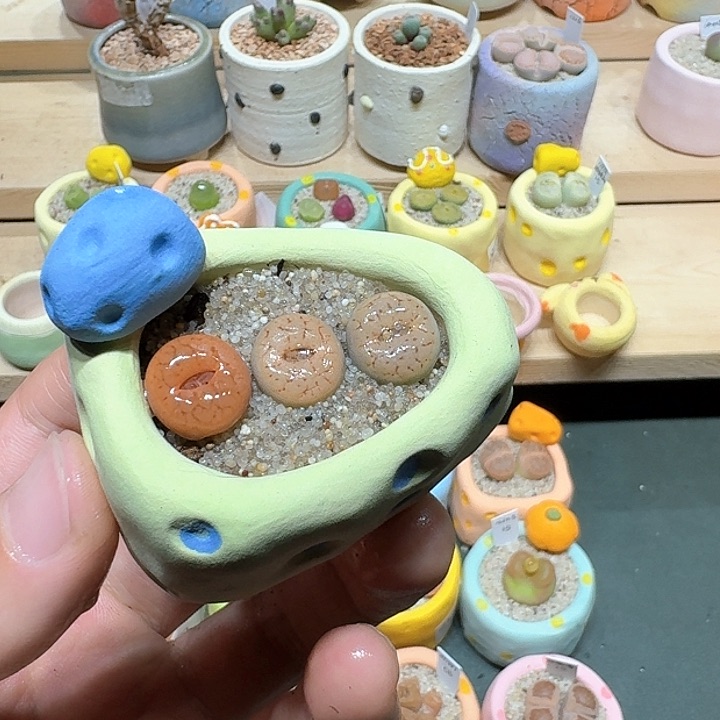 红陶蘑菇362富贵