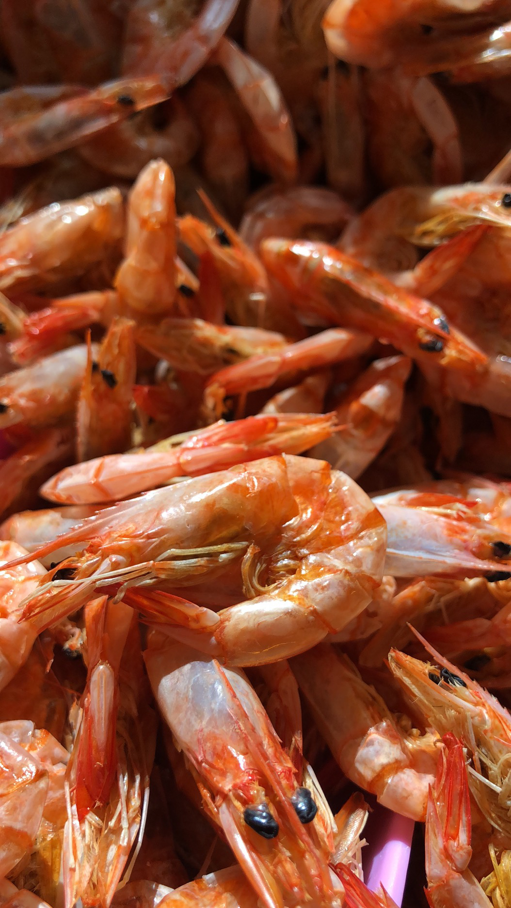 【渔嚒嚒】活虾现捞现烤虾干即食可当零食的烤虾干