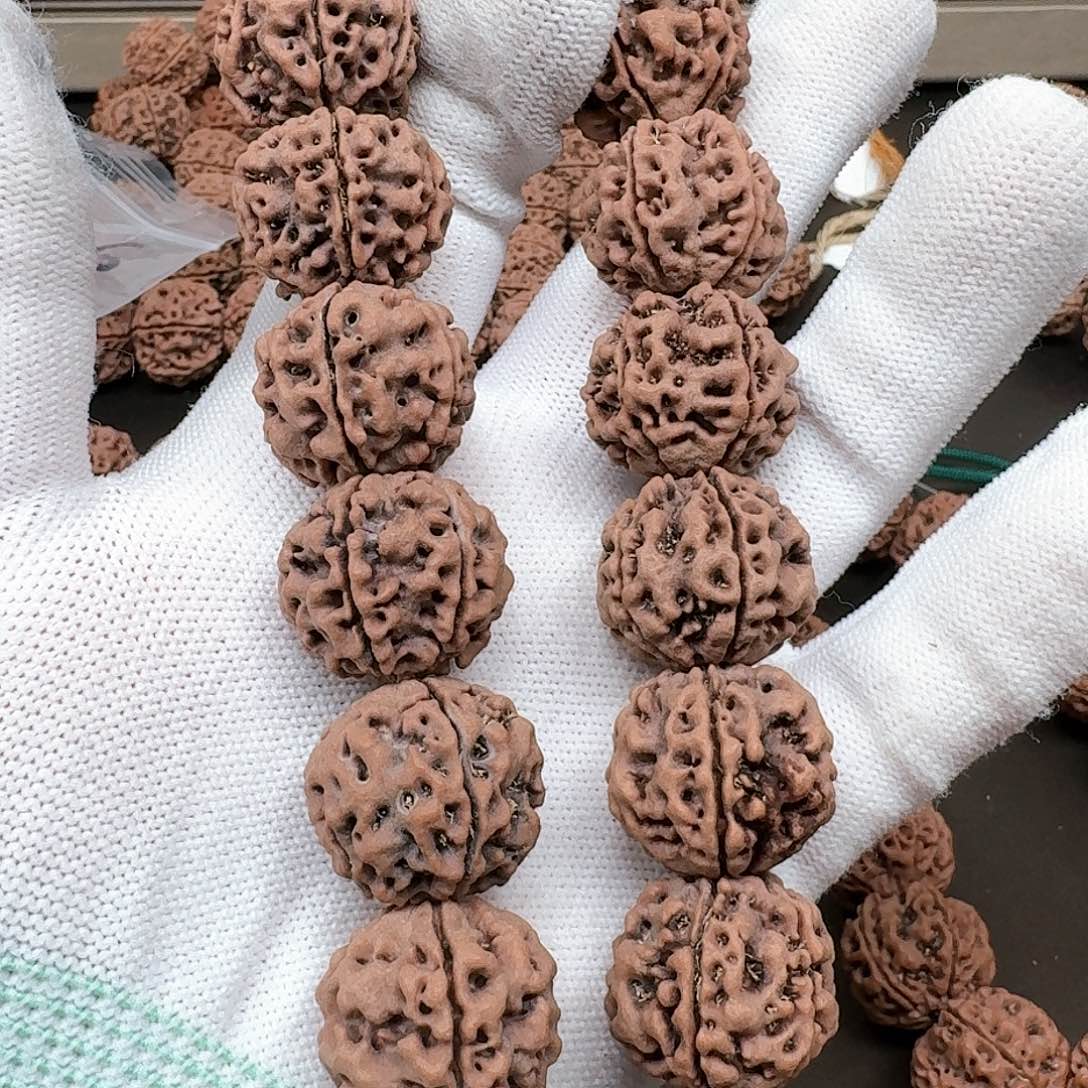 金刚菩提手串21+安娜铁籽306号