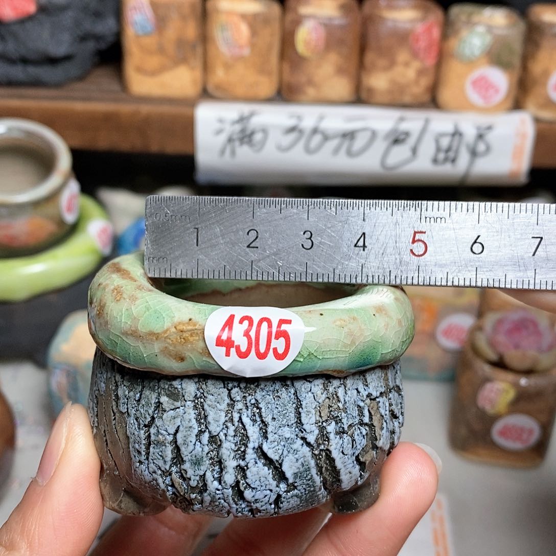 红陶拍5送一个小