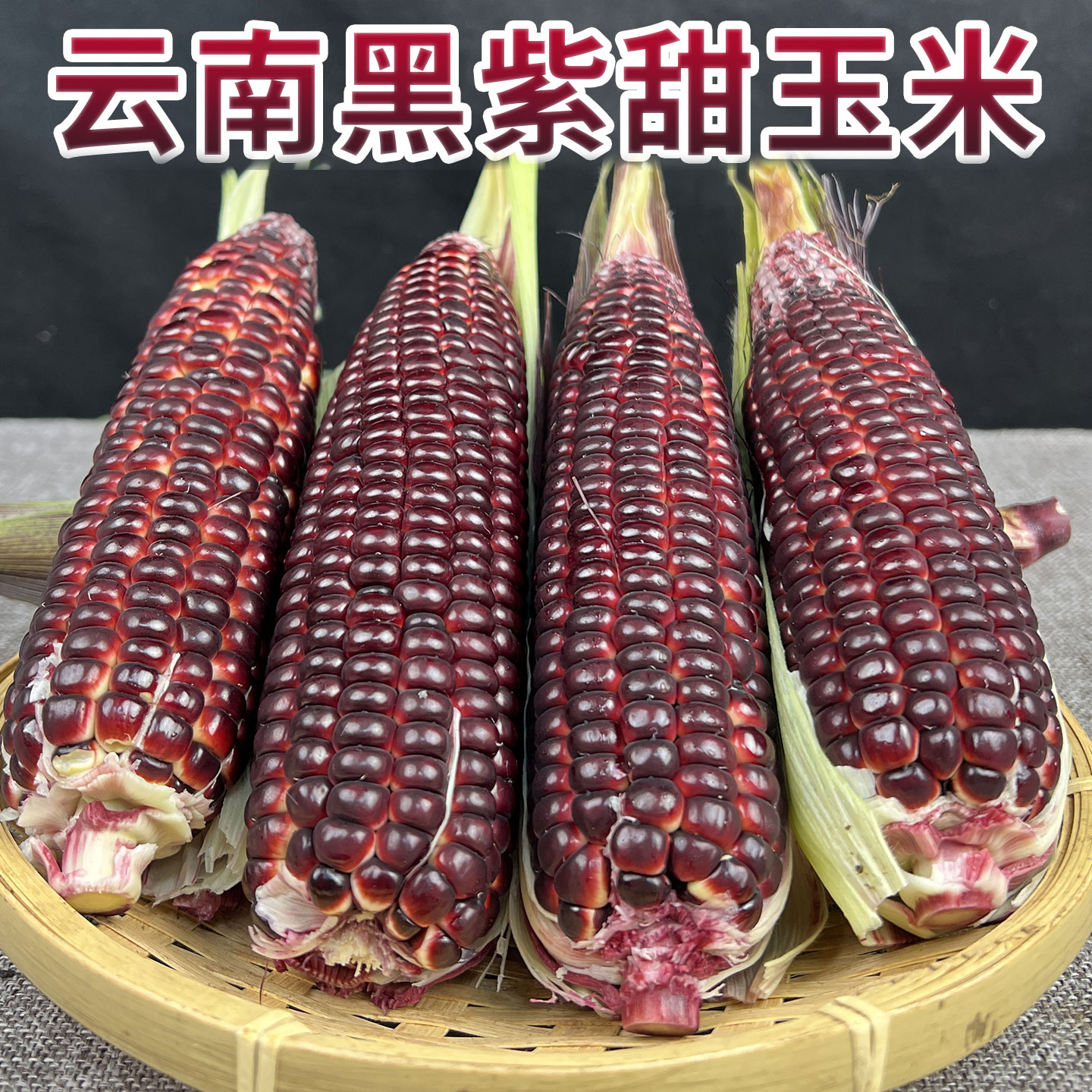云南新鲜黑紫水果玉米甜玉米新鲜现摘紫色水果玉米棒苞米代餐玉米