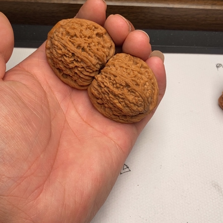 南疆石狮子头40尺寸有修