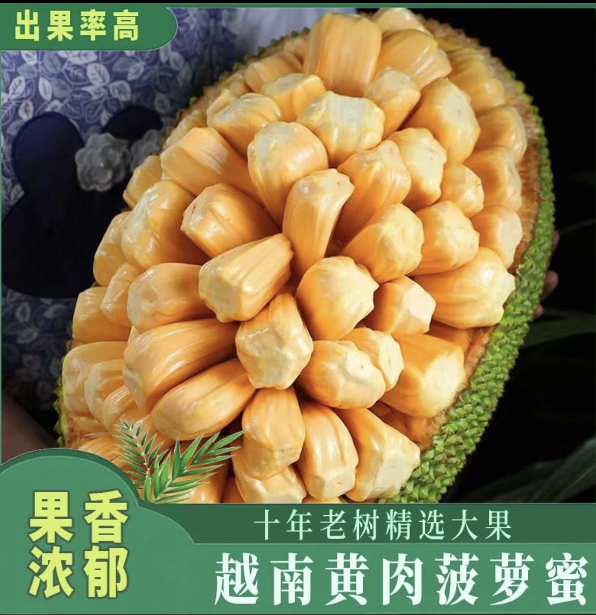 （618大促福利）越南进口老树树熟果 香甜脆甜 奶香