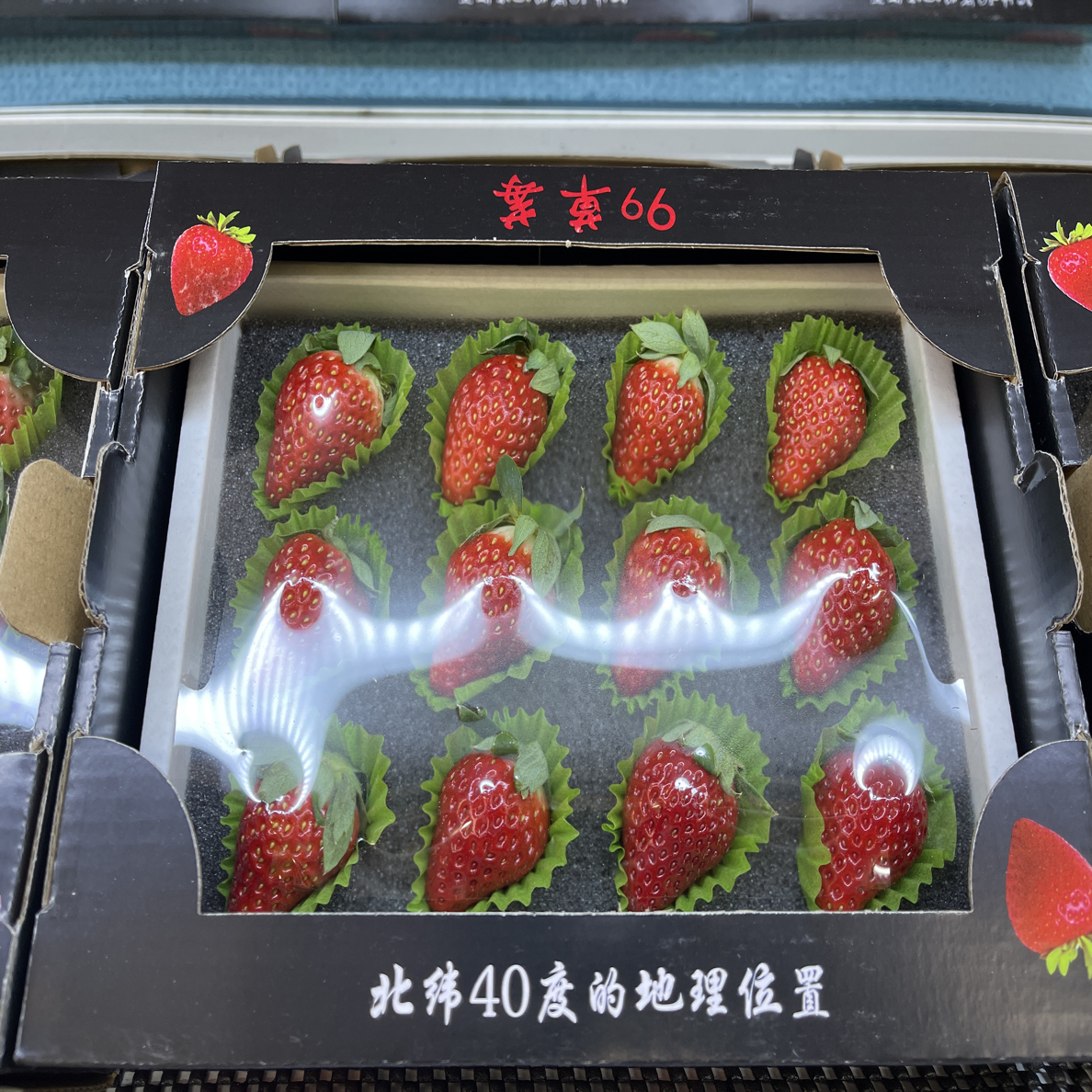 丹东 99 一盒 15 枚