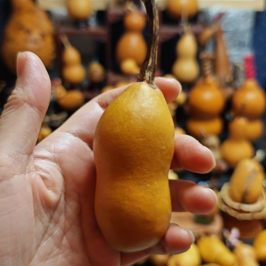 那***海直播间链接葫芦葫芦