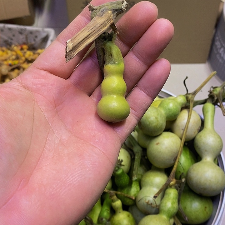 老*长嘴哈哈哈哈哈哈哈哈哈哈哈好