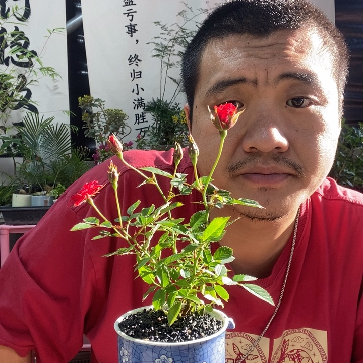 岁***花以实际为准盆景盆栽绿植78