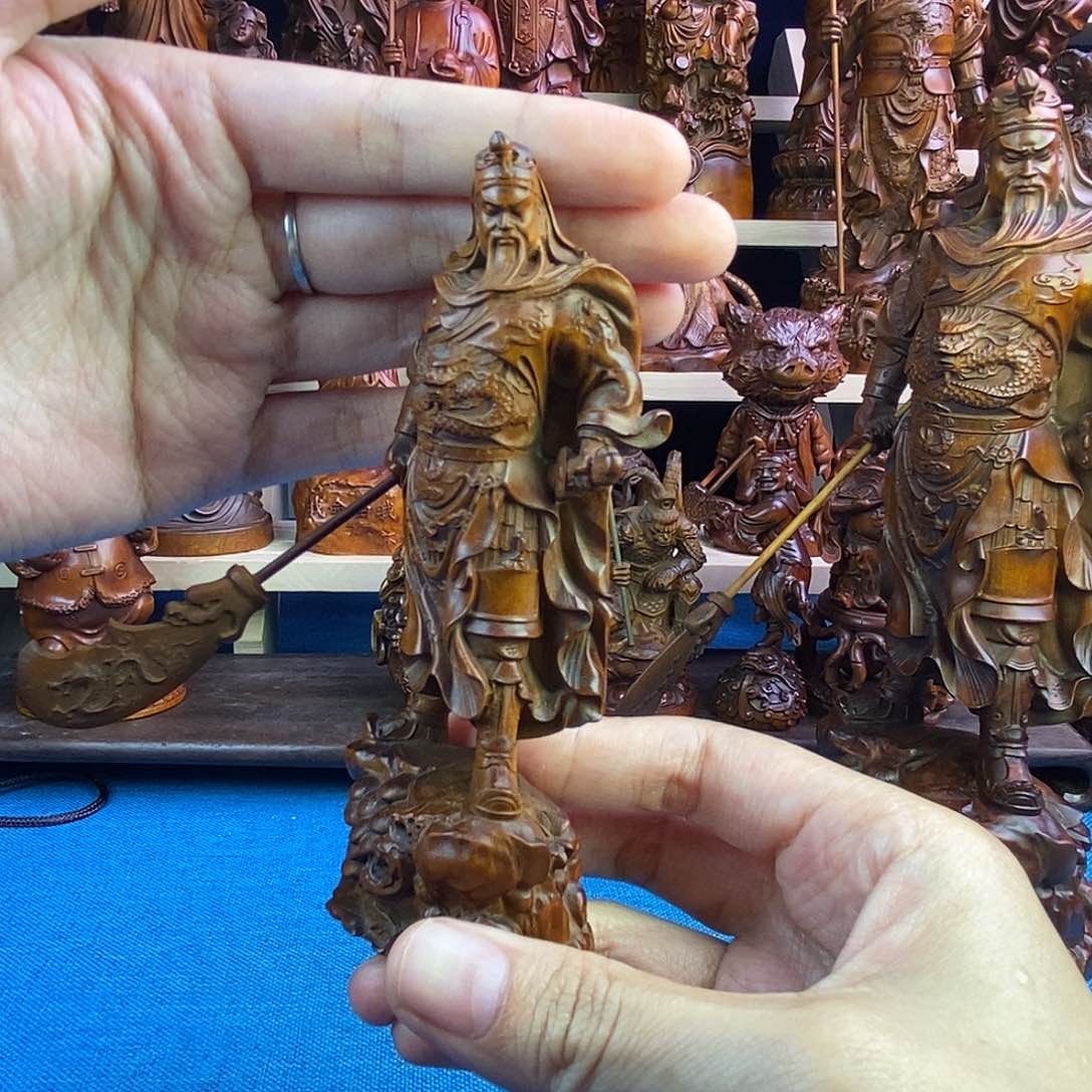 黄杨木记****头小叶黄杨木