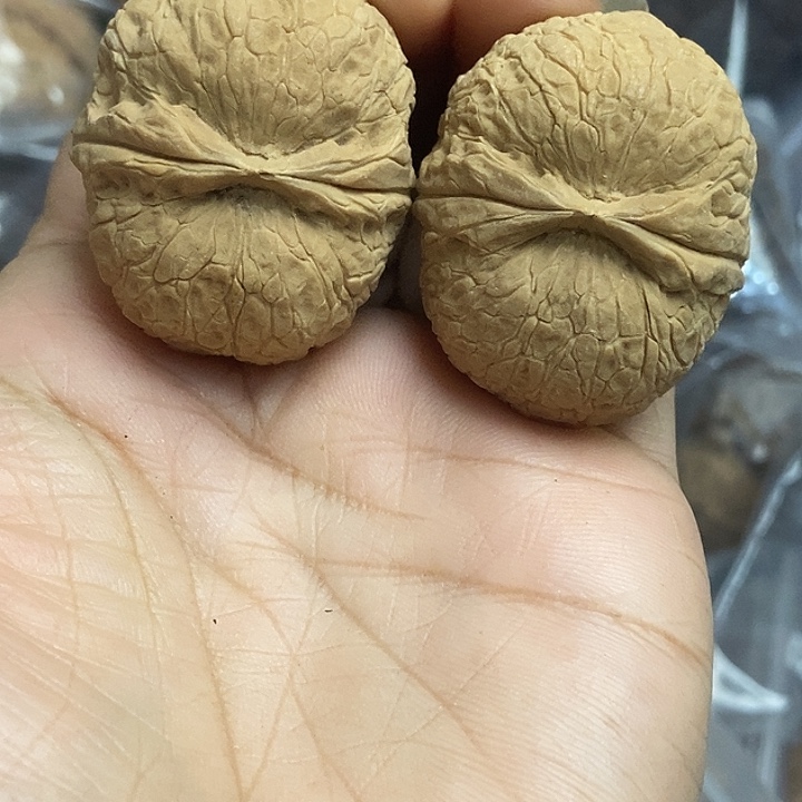 文玩核桃把件云南铁核桃基地9