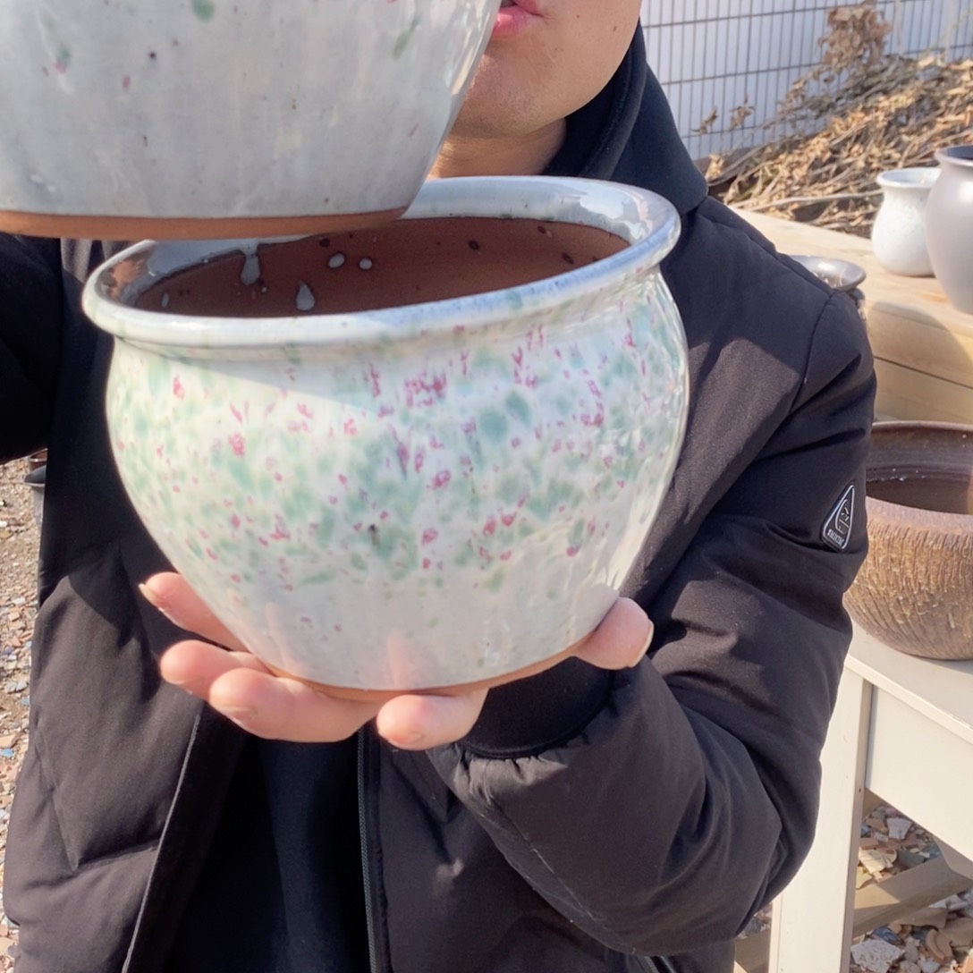 红陶彭于晏0206-1053