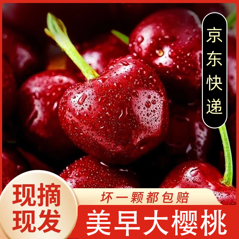 【送2斤】新鲜美早大樱桃应季水果孕妇水果5斤9-5S1