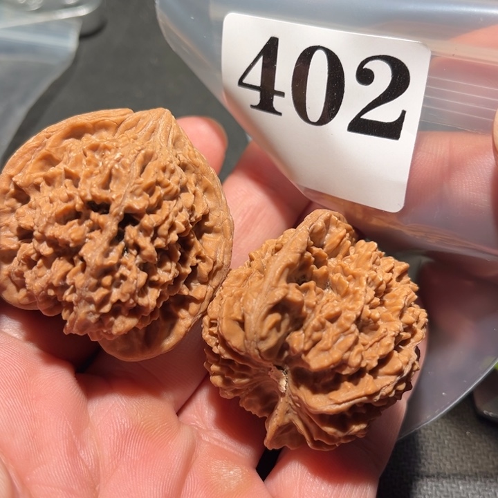 核桃11111111111111111