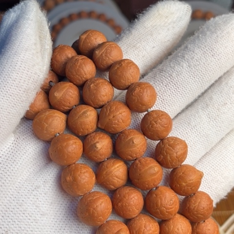 凤眼菩提手串ㅤ***ㅤ精品凤眼菩提11.5mm