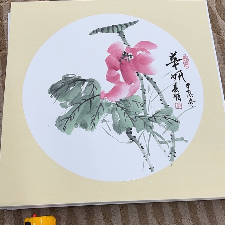 国画花鸟等多种鸟类的栖息地和栖息环境的