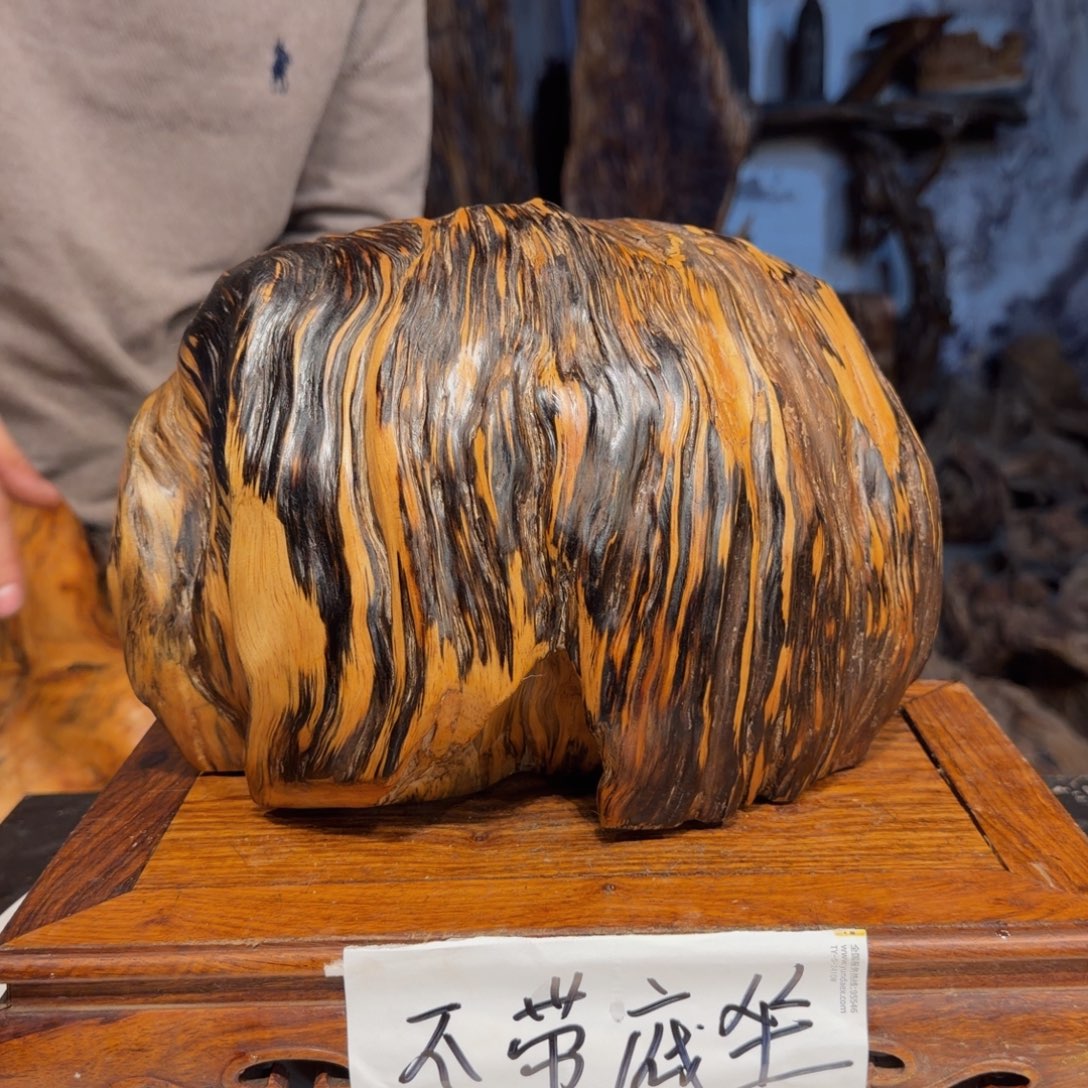 石***尚木三丰琥珀木 天然摆件19