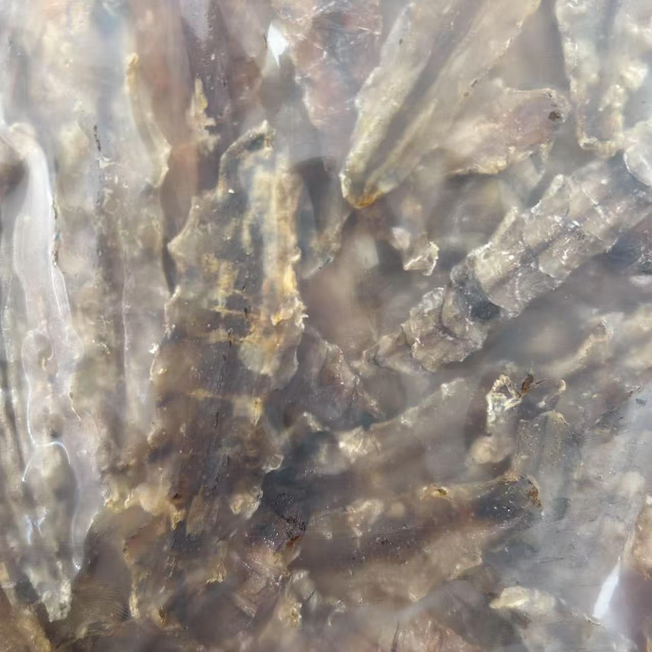 《达人专属》谢记海产品新鲜虾菇干
