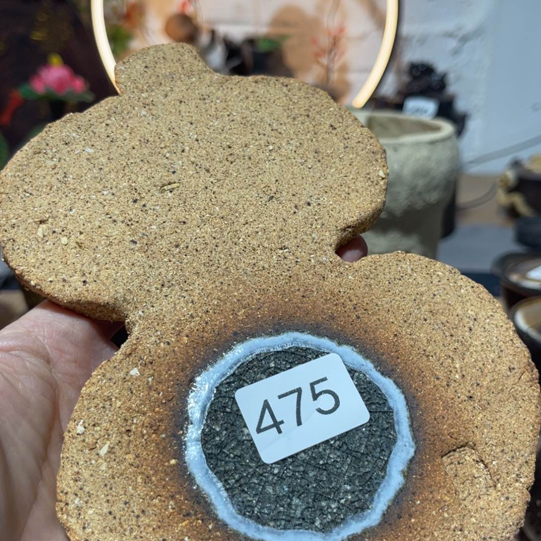 木村信弘柴烧保平