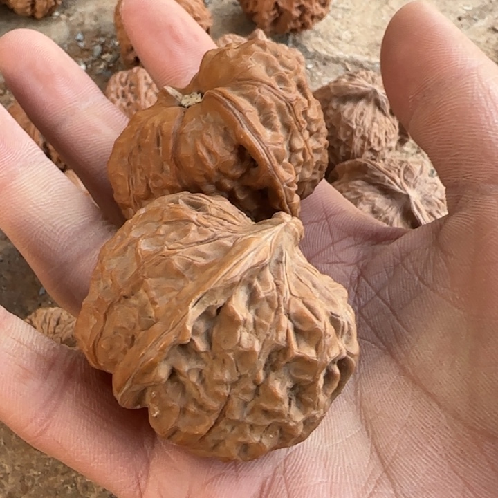 舍***&文玩核桃把件南瓜墩