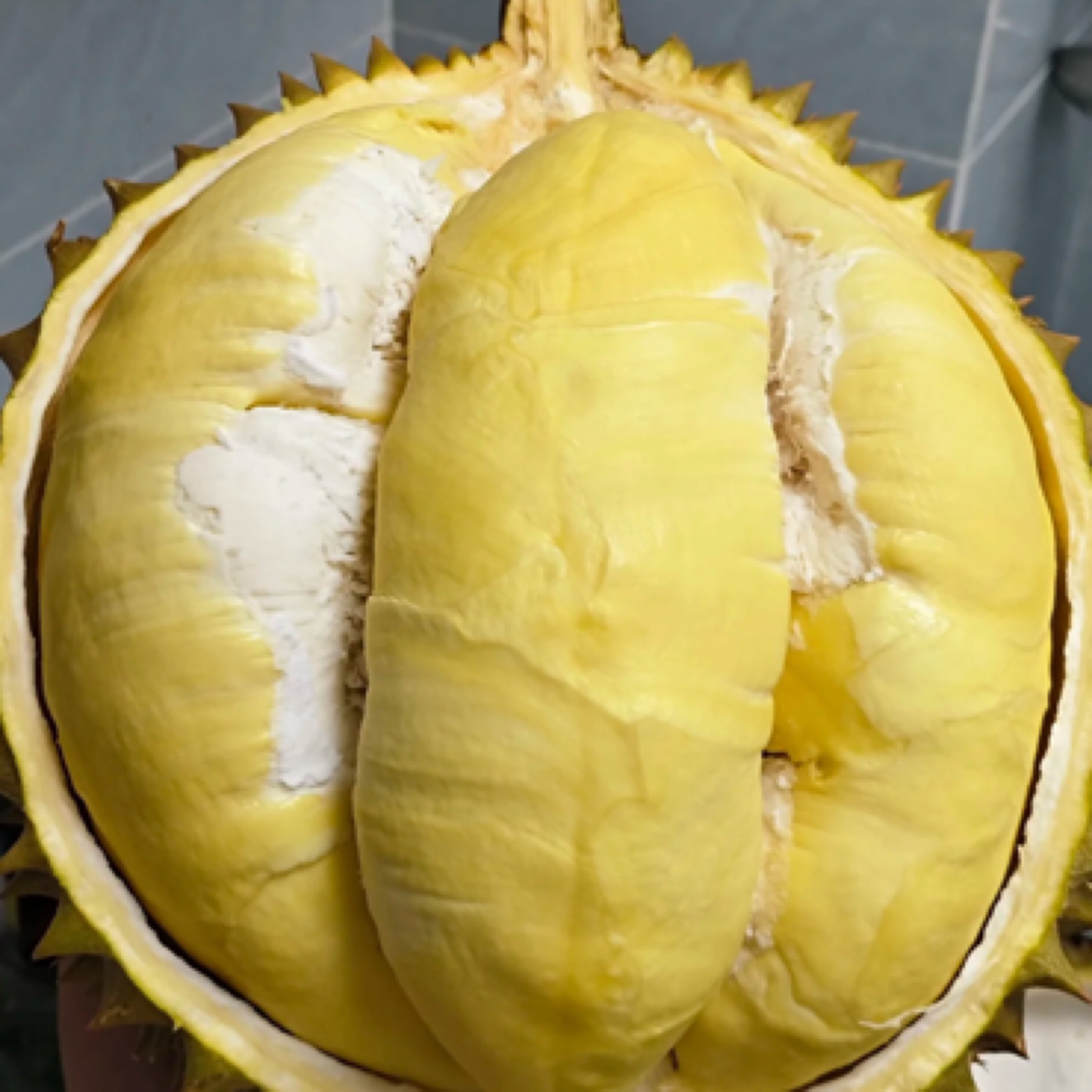 越南金枕新鲜榴莲A果29.8元/斤,核小金枕越南