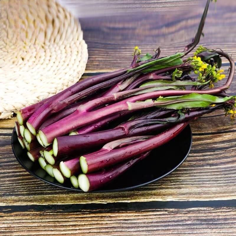 新鲜红菜苔现摘现掐湖北农家自种紫菜苔当季时令蔬菜嫩菜薹心青菜