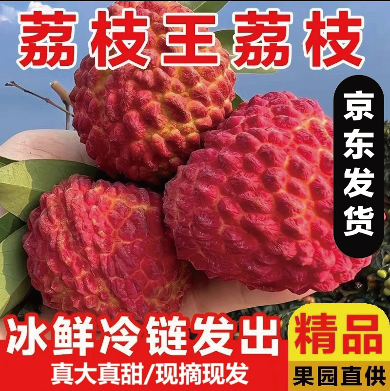 【现摘现发】现货荔枝王特大新鲜巨无霸荔枝鲜果应季水果现摘现发