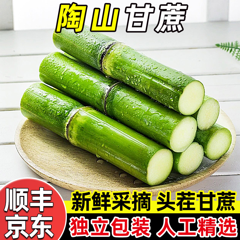 【新品】浙江陶山青皮绿皮甘蔗脆甜多汁孕妇当季新鲜水果甜杆果蔗