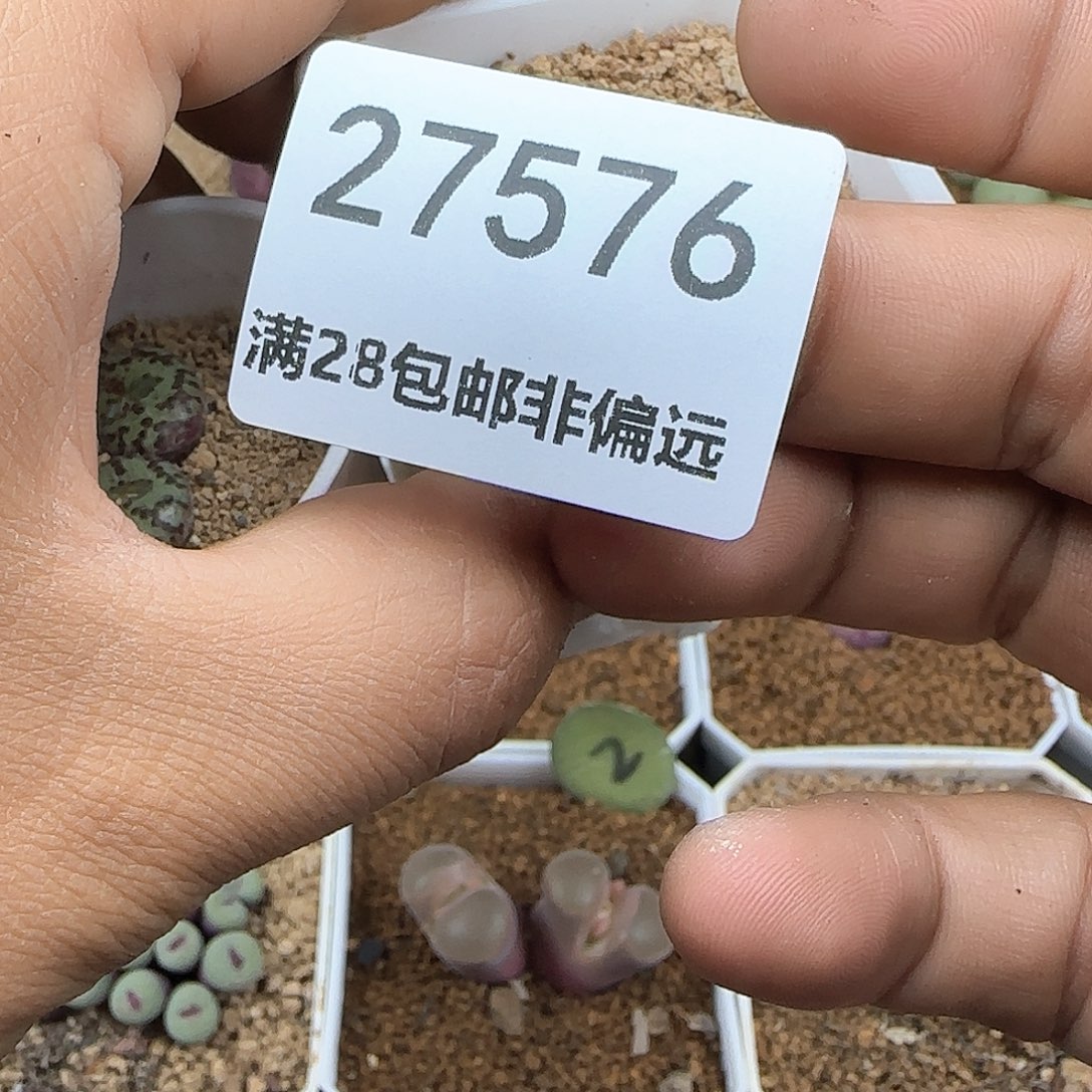 柠**语哈哈哈哈哈哈27576