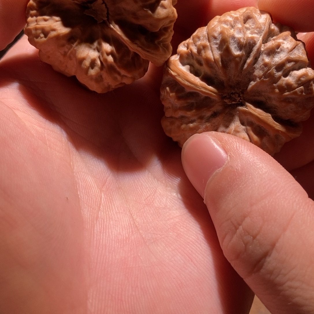 八***号吊坠文玩核桃蛤蟆头D17