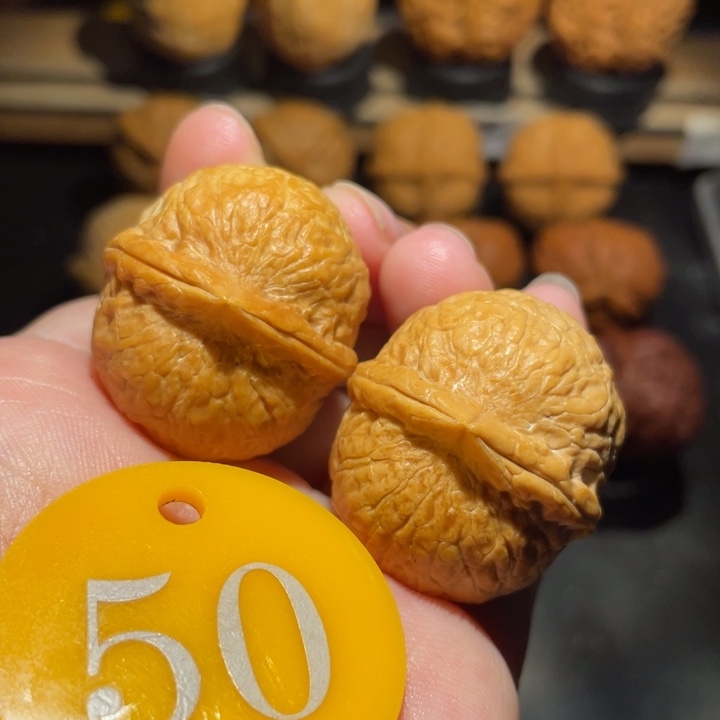 龙珠32尺寸核桃。   