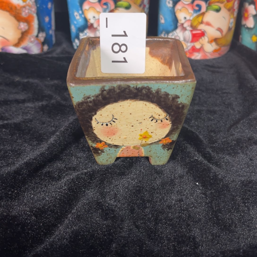 糖***爷181多肉花盆   1个