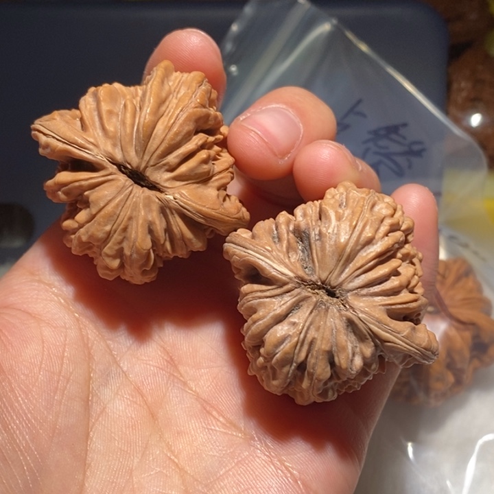 为***鱼文玩核桃吊坠精品课程等课程教学工作中